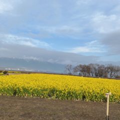 春一番！！商品紹介★